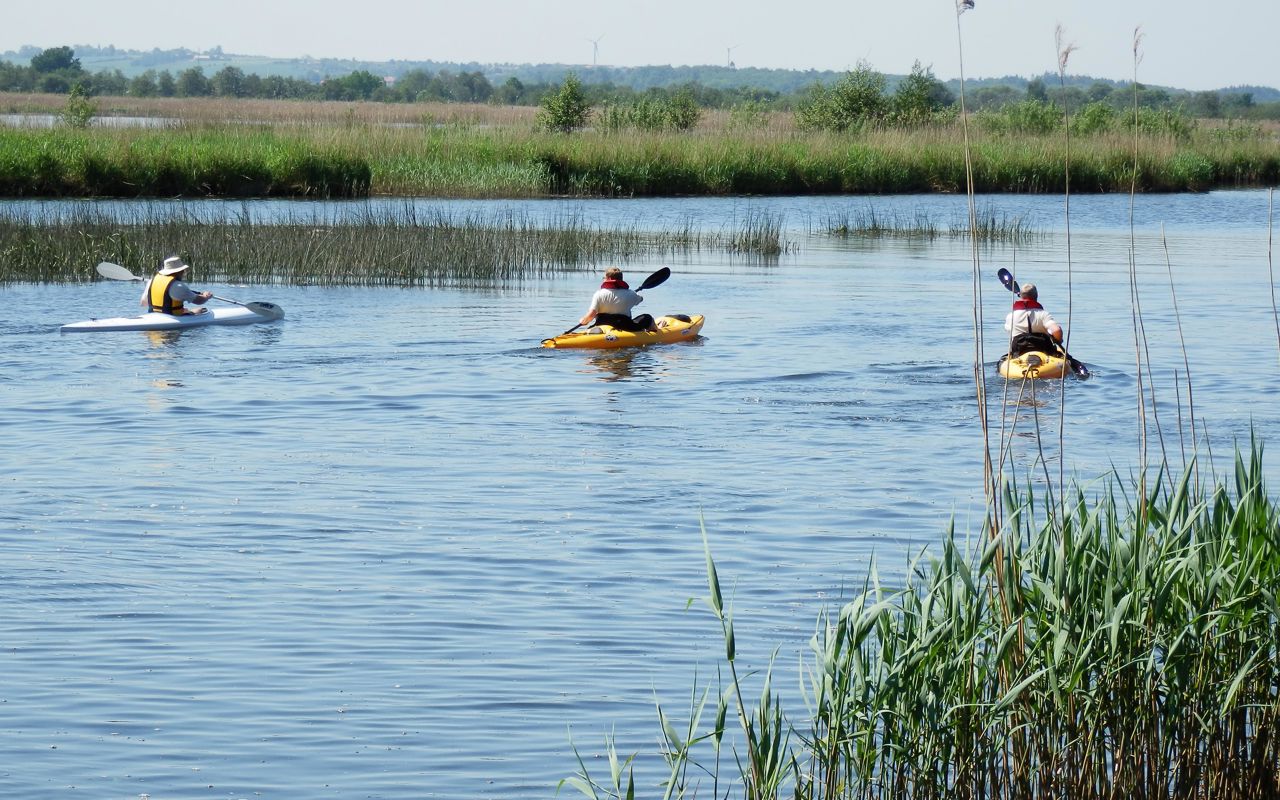 Sejlads på Randers Naturcenter