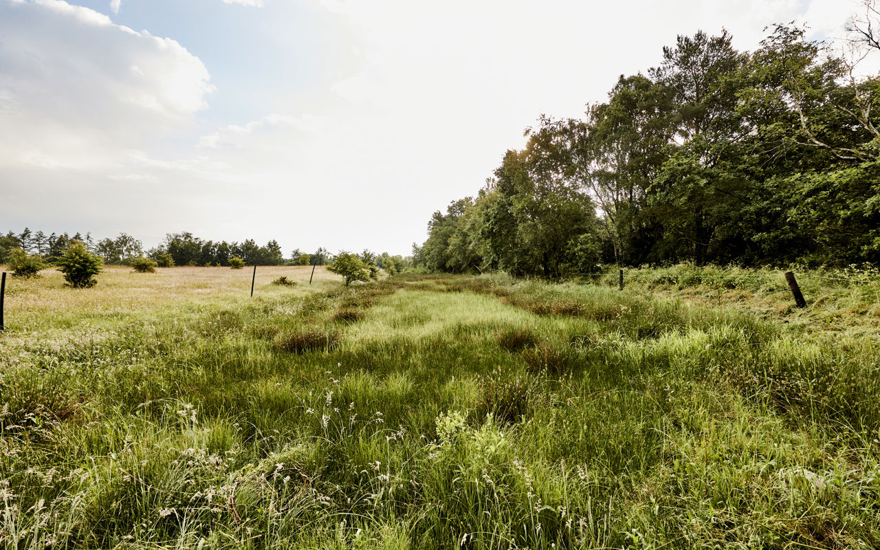 Christian III's Kanal